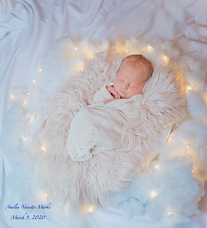 Marks Newborn WM