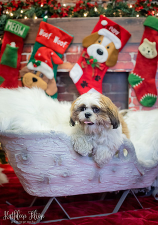 Rodrigues 110919-4160