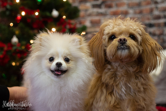 Charlie & Darla